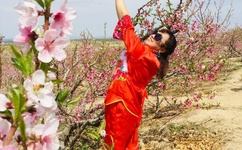 日本最大但的人文体艺术